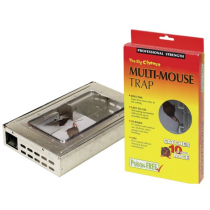 MOUSE TRAP - BOX
