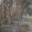 Image for FSHL2002315