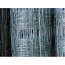 Image for FSHL56015