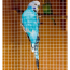 Image for WMPL691325