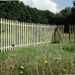 Image for Timber Picket Fence Panels