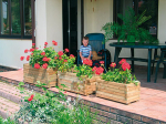 Image for Timber Planter Boxes