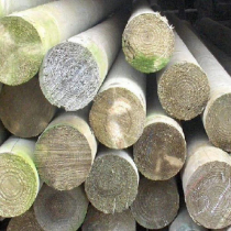 Timber Poles