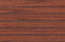cedar_fall.jpg