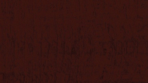 RONSEAL ONE COAT FENCE LIFE DARK OAK 5L
