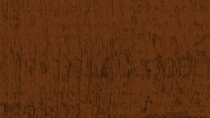 RONSEAL ONE COAT FENCE LIFE MEDIUM OAK 5L