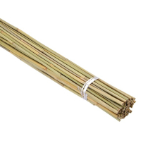 BAMBOO GARDEN CANES 4' (122cm) PACK/10