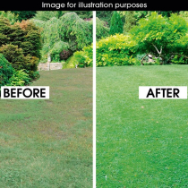 GRASS SEED - LAWN REPAIR 2kg