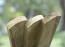 Image for TSG067019PRNDX