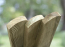 Image for TSG097019PRND