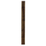 Image for TSPB3610016G2