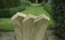Image for TSG127019PPTD