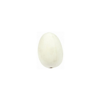 CHINA EGG LARGE FOR HENS OR DUCKS 70mm x 48mm 80g