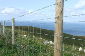 Wire Guide