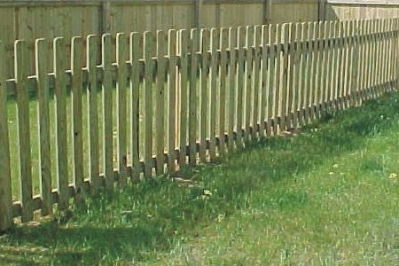 Picket Fence