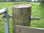 Image for Timber Round Gate Posts