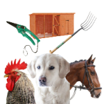 Image for Animal & Poultry Equipment