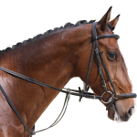 Image for Equestrian Products