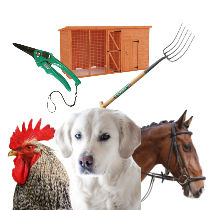 Animal & Poultry Equipment