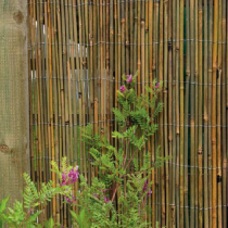 Bamboo Screening - Cane